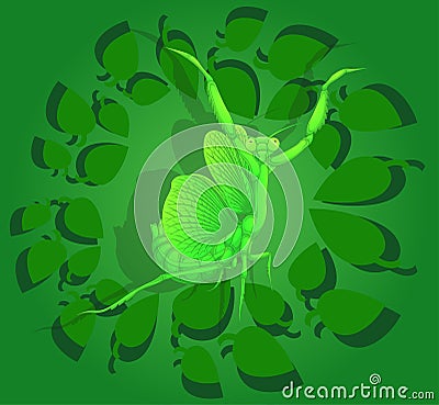 Mantis, painted cartoon character, vector illustration. Insect on the background of green foliage Vector Illustration