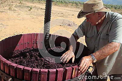 Manual organic wine making Editorial Stock Photo
