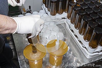 Manual washing of beer bottles Stock Photo