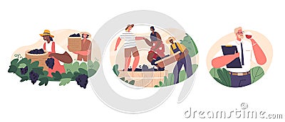 Manual Wine Production Involves Hand-harvesting Grapes, Crushing Them, And Fermenting The Juice, Sommelier Tasting Vector Illustration