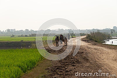 A manual worker is drive home after working in the morning. Editorial Stock Photo