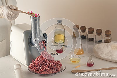 Manufacture of artificial meat from chemical elements in the laboratory. Stock Photo