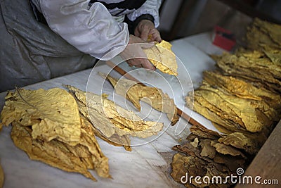 Manufacture of tobacco Stock Photo