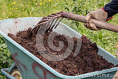 Manure: organic bio natural fertilizer in a wheel barrow with pitchfork. Farm Life Stock Photo