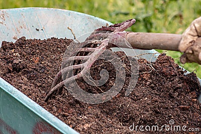 Manure: organic bio natural fertilizer in a wheel barrow with pitchfork. Farm Life Stock Photo