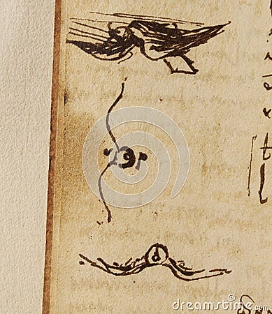 Manuscript, drawings, birds by Leonardo Da Vinci in the old book The Codice Sul Volo, by E. Rouveyre , 1893 Stock Photo