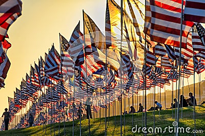 Many American flags flying on green meadow at sunset. Editorial Stock Photo