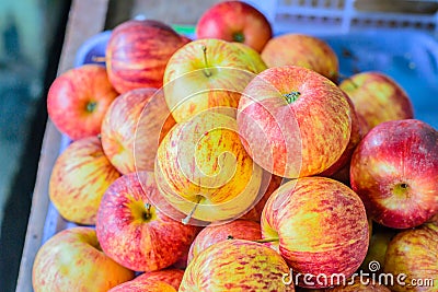 Many Apple On Table, selective focus point. Stock Photo