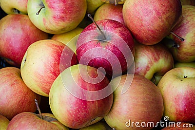 Many apples in closeup in market Stock Photo