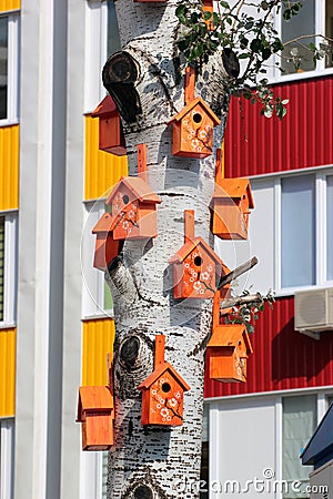 Many bird houses on aspen tree Stock Photo