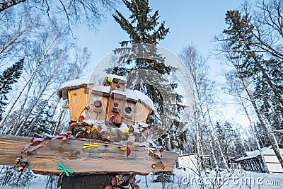 Many birdhouses, for birds and feeders on the tree. Houses for birds in the winter under the snow on the tree. Bird Stock Photo