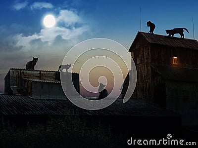 Many black cats on the roofs of old houses. Night, moon. The picture on the subject of Halloween Stock Photo