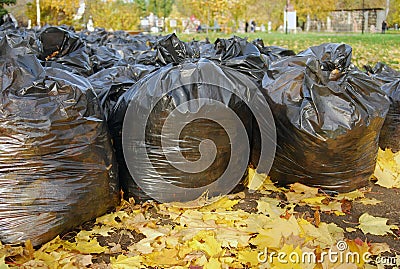 Many black garbage bags in autumn park Stock Photo