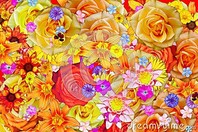 Many blooming mallow or malva flower and different flowers abstract background Stock Photo