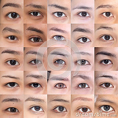 Many Brown Eyes Eyebrows set of Asian Woman 20`s Stock Photo