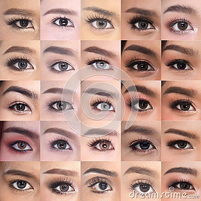 Many Brown Eyes Eyebrows set of Asian Woman 20`s Stock Photo