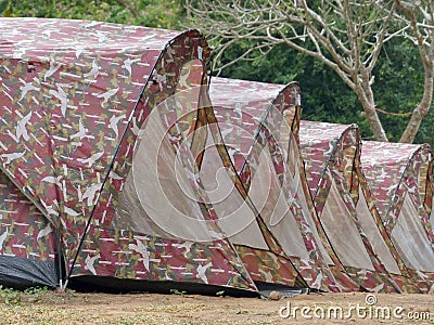 many camping tent Stock Photo