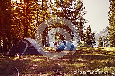 Many camping tent on field in national park with sunlight in morning Stock Photo