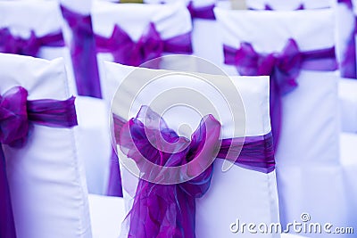 Many chairs on the wedding ceremony Stock Photo