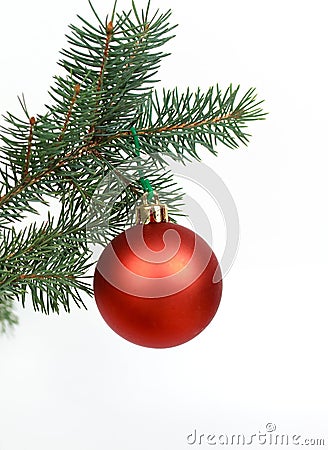 Many Christmas decorations with pine branches Stock Photo