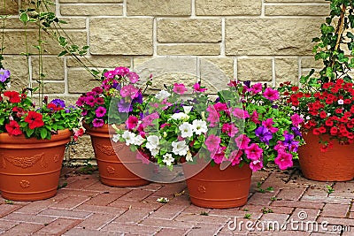 Many Clay Flowerpots With Blooming Plants At Stone Wall Stock Photo