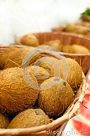 Many coconuts Stock Photo