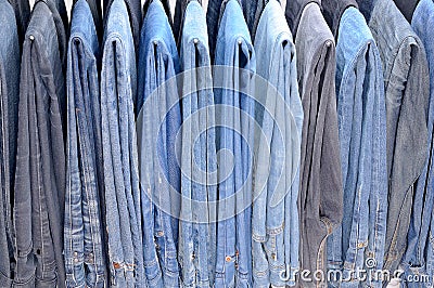 Many colored jeans hanging on hangers Stock Photo