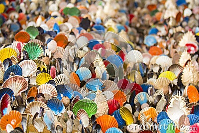 Many of Colorful seashell as background Stock Photo