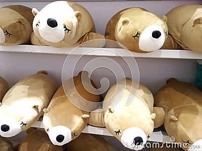 Many cute animal dolls on orderly shelves Stock Photo