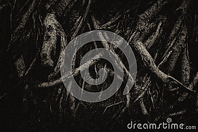 Many dark roots with grain film,halloween themes. Stock Photo