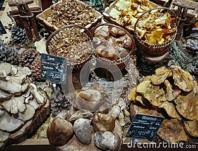 Many different edible mushrooms in baskets on food market. Stock Photo