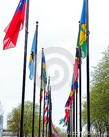 Many different flags street Europe members Union building countries nation road way grass flowers green color type The Hague Stock Photo