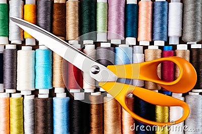 Many different reels with threads, flat lay, top view. Colored thread and tailor scissors, close-up, bright background. Cutting Stock Photo