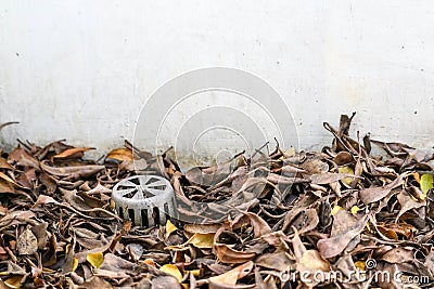 Many dry leaves clogged the drain, causing water to leak inside the building Stock Photo