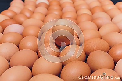 Many eggs lie together on each other, brown eggs, a lot of chicken eggs. Stock Photo