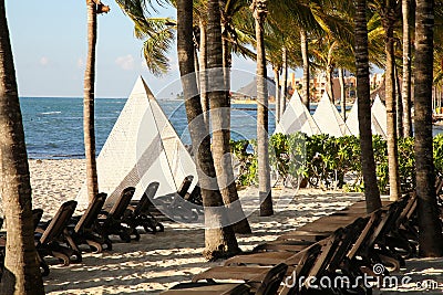 Many empty sunbeds among palm trees on sandy beach near sea Stock Photo