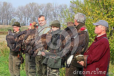 Many Falconers in the hands of golden eagles Editorial Stock Photo