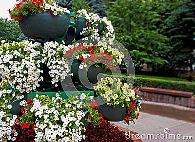 Many Flowers In Large Vases Stock Photo