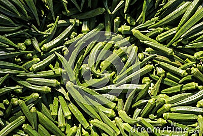 Many fresh green okra or lady's finger vegetable background Stock Photo