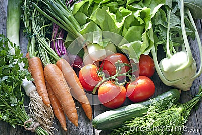 Many fresh spring organic vegetables Stock Photo