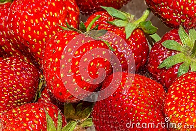 Many fresh strawberries macro Stock Photo