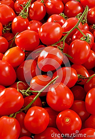 Many fresh tomatoes Stock Photo