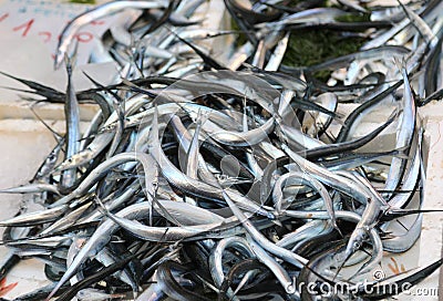 many garfish just caught for sale Stock Photo
