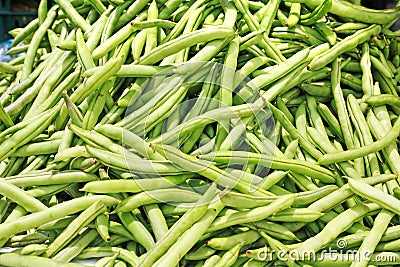 Many green beans, phaseolus vulgaris l. Stock Photo