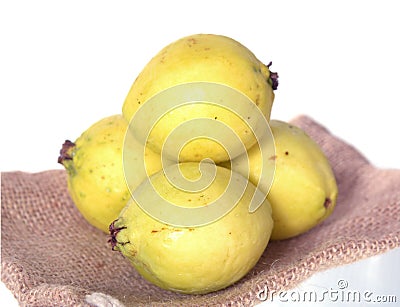 Guava fruit Stock Photo