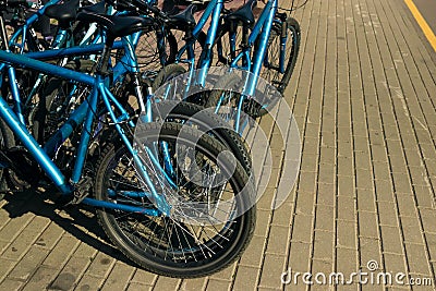 Many identical bicycles in a row Stock Photo
