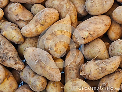 Many Irregular Shaped Potatoes For Sale at Fruit and Vegetable market Stock Photo