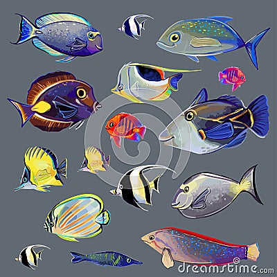 many isolated, amazing, bright fish of different colors on a gray background. Vector Illustration