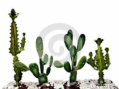 Many kinds of cactus, natural background, plant isolated on white background, clipping path Stock Photo