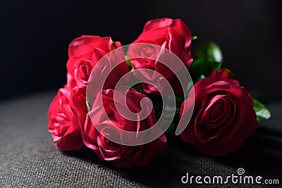 Many large red roses on the fabric Dramatic tone Stock Photo